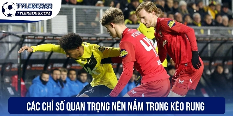 Kèo Rung - Cách Nhận Diện Biến Động Tỷ Lệ Tại Nhà Cái 2 Chuyển đến nội dung chínhChuyển đến thanh công cụ
Giới thiệu về WordPress
Tỷ lệ kèo 68
00 bình luận cần kiểm duyệt
Tạo mới
Rank Math SEO
Xin chào, Anh Tuấn
Tùy chọn màn hìnhHỗ trợ
Thêm Bài Viết
Dismiss this notice
Bỏ qua thông báo này
Thông báo SEO: post đã xuất bản trước đó đã được chuyển vào thùng rác. Bạn có thể chuyển hướng https://www.ivaanapparels.in.net/nha-cai-uy-tin/uk88-2/ đến một URL mới.
Bỏ qua thông báo này
Thêm tiêu đề
Kèo Rung - Cách Nhận Diện Biến Động Tỷ Lệ Tại Nhà Cái
Bỏ qua để biên tập
Đường dẫn tĩnh: https://www.bakisarisakal.com/keo-rung/ Chỉnh sửa
Thêm MediaTrực quanMã
Đoạn
p » i » span
Số từ: 1115 Bản nháp được lưu lúc 17:29:54.
Di chuyển lênDi chuyển xuốngChuyển đổi bảng điều khiển: Chọn Giải Đấu
-- Chọn giải đấu --
Di chuyển lênDi chuyển xuốngChuyển đổi bảng điều khiển: Xuất bản
Xem trước(mở trong cửa sổ mới)
Trạng thái: Bản nháp Chỉnh sửaChỉnh sửa trạng thái
Hiển thị: Công khai Chỉnh sửaChỉnh sửa độ rõ nét
Xuất bản ngay lập tức Chỉnh sửaChỉnh sửa ngày tháng và thời gian
Lock Modified Date
SEO: 83 / 100
Bỏ vào thùng rác
Di chuyển lênDi chuyển xuốngChuyển đổi bảng điều khiển: Danh mục
Tất cả danh mục Dùng nhiều nhất
Cẩm Nang Soi Kèo
Top Nhà Cái
Uncategorized
+ Thêm Danh Mục
Di chuyển lênDi chuyển xuốngChuyển đổi bảng điều khiển: Ảnh đại diện
Đặt ảnh đại diện
Di chuyển lênDi chuyển xuốngChuyển đổi bảng điều khiển: Content AI
Di chuyển lênDi chuyển xuốngChuyển đổi bảng điều khiển: Thẻ
Di chuyển lênDi chuyển xuốngChuyển đổi bảng điều khiển: Đề xuất Liên kết
Chúng tôi không thể hiển thị bất kỳ đề xuất liên kết nào cho bài viết này. Hãy thử chọn danh mục và thẻ cho bài viết này và đánh dấu các bài viết khác là nội dung cốt lõi để chúng hiển thị ở đây.
Di chuyển lênDi chuyển xuốngChuyển đổi bảng điều khiển: Rank Math SEO
Tổng quan
Nâng cao
Schema
Mạng xã hội
https://www.bakisarisakal.com/keo-rung/
Kèo Rung - Cách Nhận Diện Biến Động Tỷ Lệ Tại Nhà Cái -...
Kèo rung đòi hỏi kỹ năng đọc bảng kèo nhạy bén từ anh em giúp xác định thời điểm vàng vào tiền hợp nhằm tăng tỷ lệ chiến thắng khi cá cược.
Chỉnh sửa đoạn trích
Từ khóa chínhChèn các từ khóa bạn muốn xếp hạng. Cố gắng đạt 100/100 điểm để có cơ hội xếp hạng tốt hơn.
83 / 100
Lưu ý cảnh báo
Đọc ở đây để Đạt điểm 100/100
Bài viết này là nội dung cốt lõi
SEO cơ bản
Tất cả đều tốt
Tuyệt vời! Bạn đang sử dụng từ khoá chính trong Tiêu đề SEO.
Đã sử dụng từ khoá chính trong Mô tả Meta SEO.
Từ khóa chính đã được sử dụng trong URL.
Từ khoá chính xuất hiện trong 10% nội dung đầu tiên.
Đã tìm thấy từ khoá chính trong nội dung.
Nội dung dài 1126 từ. Làm tốt lắm!
Bổ sung
2 Lỗi
Khả năng đọc tiêu đề
Tất cả đều tốt
Khả năng đọc nội dung
1 Lỗi
Di chuyển lênDi chuyển xuốngChuyển đổi bảng điều khiển: Insert Script to <head>
Di chuyển lênDi chuyển xuốngChuyển đổi bảng điều khiển: Nhập video youtube
Link video:
Cảm ơn bạn đã sử dụng Rank MathPhiên bản 6.9.4
Thông báoLink inserted.
Không tìm thấy kết quả.
Đóng hộp thoại
Thêm tệp media
Hành động
Tải lên tệp mớiChọn từ thư viện Media
Mở rộng chi tiết
Lọc mediaLọc theo loại
Tất cả
Lọc theo ngày
Tất cả các ngày
Tìm tệp media
Danh sách media
Đang hiển thị 84 của 2494 file media
Tải thêm
Chi tiết tệp đính kèm
cac-chi-so-quan-trong-nen-nam-trong-keo-rung.webp
2 Tháng 5, 2026
107 KB
800 dài và rộng 400 pixel
Sửa ảnh
Xóa vĩnh viễn
WP Rocket recommends you to optimize your images for even better website performance.
Install Imagify Plugin
Văn bản thay thế
Tạo văn bản thay thế
Xem cách mô tả nội dung ảnh(mở trong cửa sổ mới). Để trống nếu ảnh chỉ dùng làm hiệu ứng trang trí.Tiêu đề
cac-chi-so-quan-trong-nen-nam-trong-keo-rung
Chú thích
Mô tả
Liên kết của tệp tin:
https://www.bakisarisakal.com/wp-content/uploads/2026/05/cac-chi-so-quan-trong-nen-nam-trong-keo-rung.webp
Sao chép liên kết
Các trường bắt buộc được đánh dấu *
Loại trừ tệp đính kèm này khỏi sơ đồ trang web
Tùy chọn hiển thị nội dung đính kèm
Căn chỉnh
Chính giữa
Liên kết tới
Không có
Kích thước
Kích thước đầy đủ – 800 × 400
Hành động cho các media đã được chọn
đã chọn 1 item
Xóa
Chèn vào bài viết
Không có tệp nào được chọn